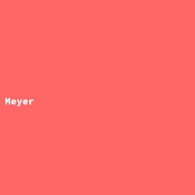 Manufacturer: Meyer
